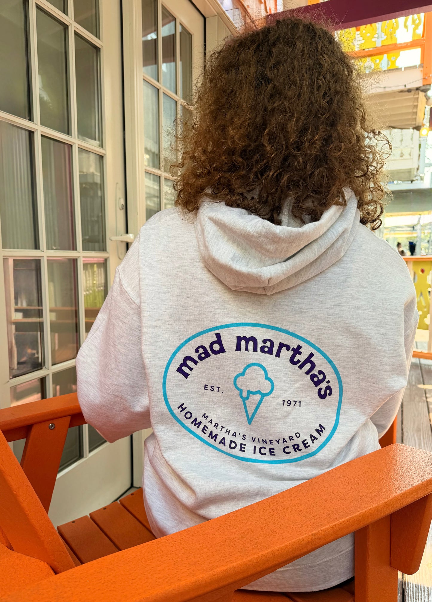 Classic Logo Adult Hoodie