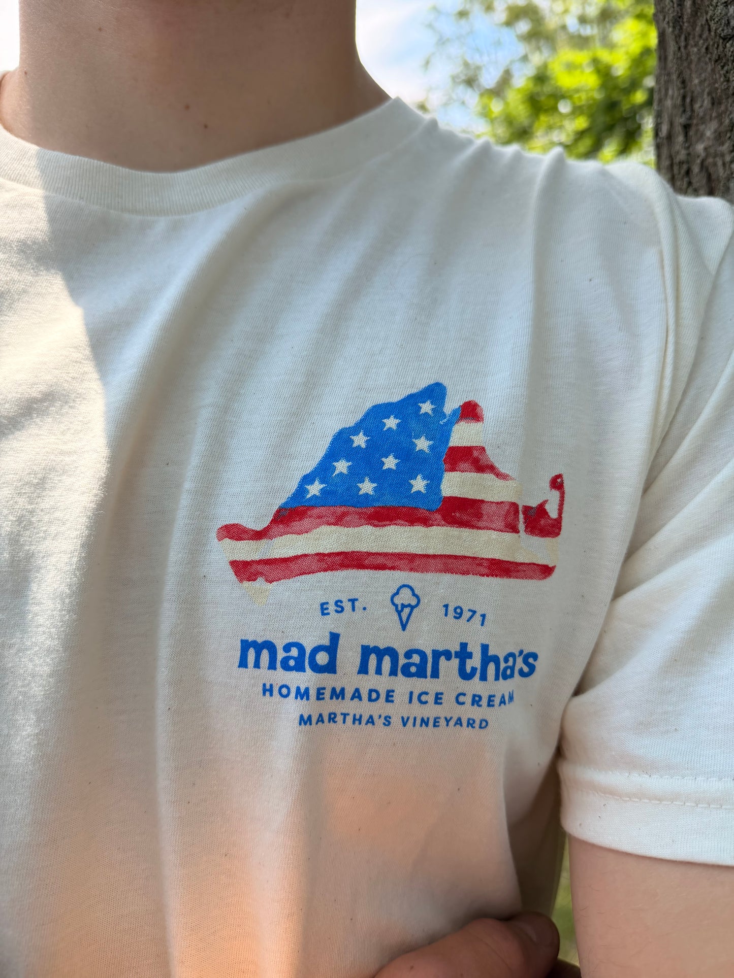Stars and Stripes Tee